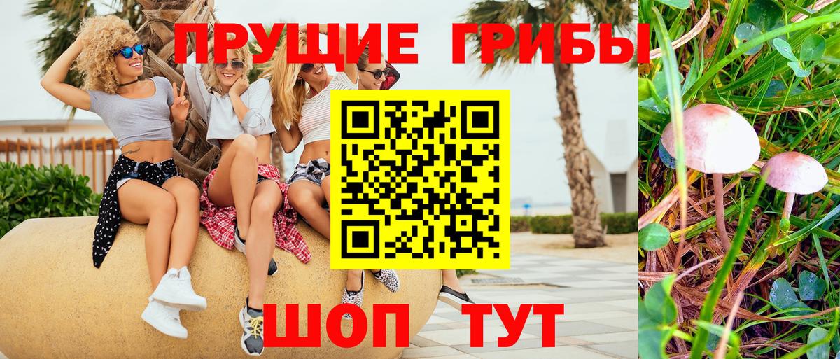 Строитель  Галлюциногенные грибы Cubensis  Вход с VPN 